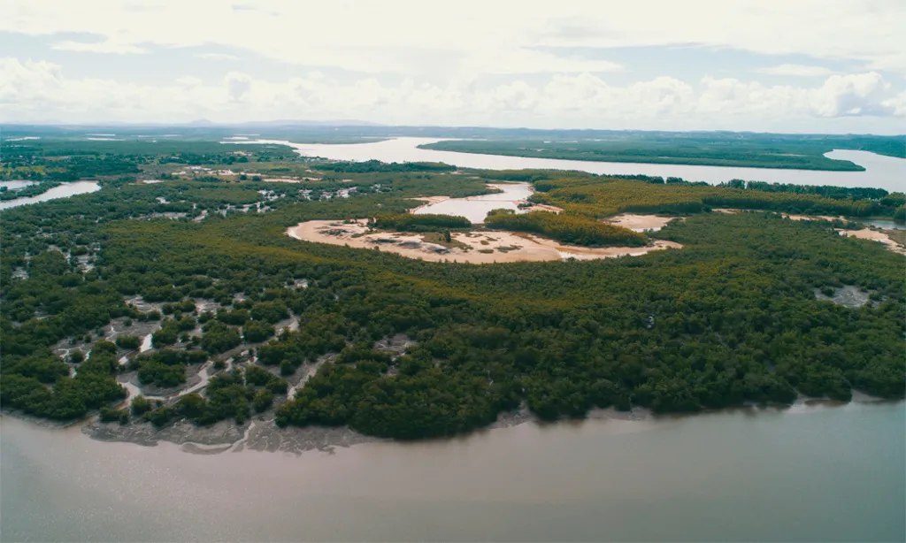 Vista aérea da Ilha Mem de Sá, em Itaporanga d’Ajuda, Sergipe, com áreas de manguezal, vegetação e cursos d’água ao redor da ilha.